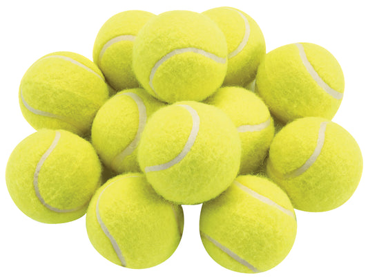 Coaching Quality Tennis Balls